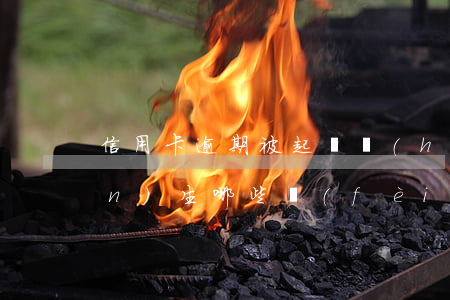 信用卡逾期被起訴會(huì)產(chǎn)生哪些費(fèi)用(欠信用卡多少金額會(huì)被起訴)