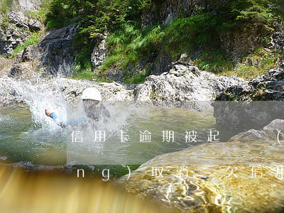信用卡逾期被起訴會(huì)自動(dòng)取消-欠信用卡被起訴,多久后會(huì)被強(qiáng)制