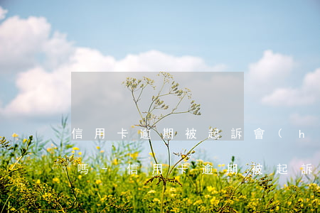 信用卡逾期被起訴會(huì)被法院罰款嗎-信用卡逾期被起訴會(huì)被法院罰款嗎多少錢