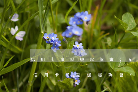 信用卡逾期被起訴會(huì)通知本人嗎(信用卡逾期被起訴會(huì)通知本人嗎)