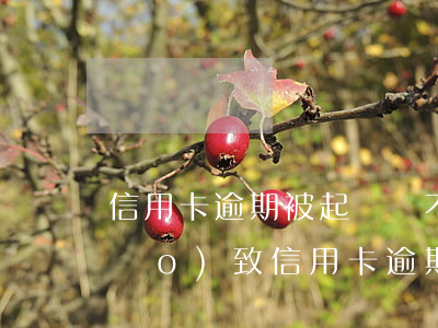 信用卡逾期被起訴會不會拘留(被刑拘導(dǎo)致信用卡逾期)