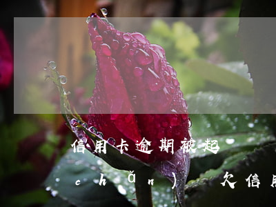 信用卡逾期被起訴會凍結(jié)房產(chǎn)嗎(欠信用卡會凍結(jié)房產(chǎn)嗎)