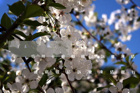 信用卡逾期被起訴會凍結銀行卡嗎-信用卡逾期被起訴會凍結銀行卡嗎安全嗎
