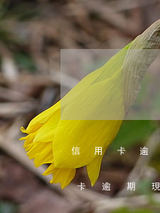 信用卡逾期被起訴會如何判決-因服刑信用卡逾期現(xiàn)被起訴該怎么做