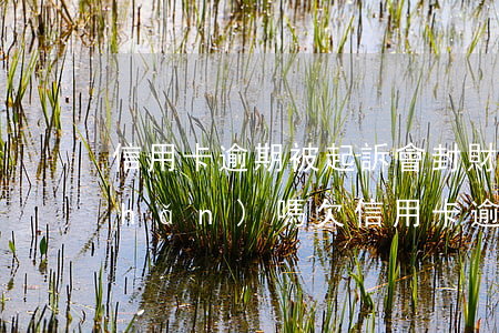 信用卡逾期被起訴會封財(cái)產(chǎn)嗎(欠信用卡逾期封了房子)