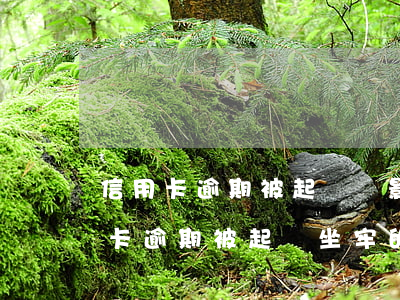 信用卡逾期被起訴會影響夫妻方嗎-因信用卡逾期被起訴坐牢的多嗎