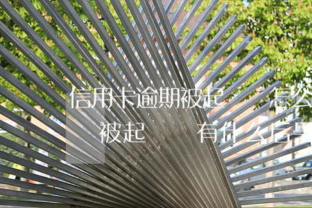 信用卡逾期被起訴會怎么樣(信用卡逾期多久會被起訴還有什么后果)