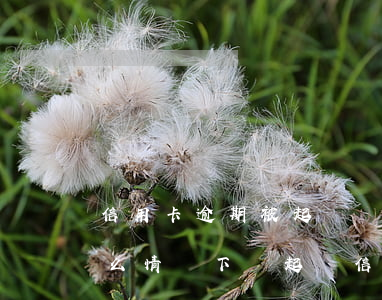 信用卡逾期被起訴會承擔哪些費用(銀行在什么情況下會起訴信用卡逾期人員)