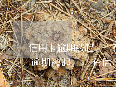 信用卡逾期被起訴會有信息通知嗎-信用卡逾期被起訴會有信息通知嗎怎么辦