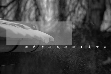 信用卡逾期被起訴有哪些費用