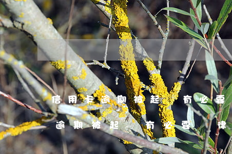 信用卡逾期被起訴有必要請律師嗎-信用卡逾期被起訴有必要請律師嗎多少錢