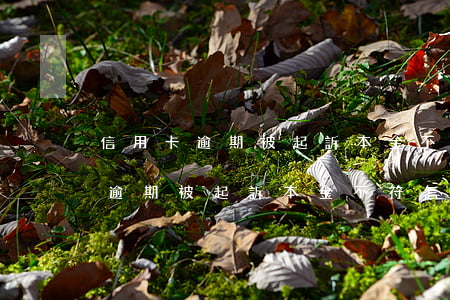 信用卡逾期被起訴本金不符怎么辦-信用卡逾期被起訴本金不符怎么辦呢