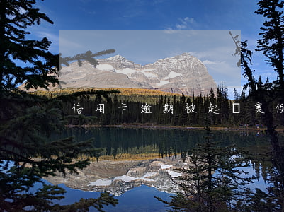 信用卡逾期被起訴案例(欠信用卡被起訴案例)