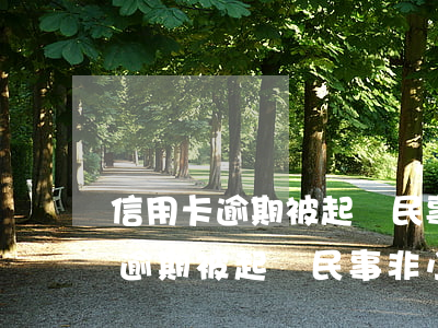 信用卡逾期被起訴民事非小額訴訟-信用卡逾期被起訴民事非小額訴訟怎么辦