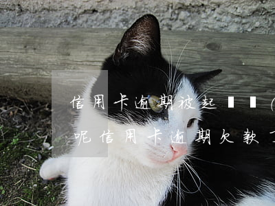 信用卡逾期被起訴沒(méi)有還款流水呢(信用卡逾期欠款了)