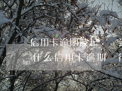 信用卡逾期被起訴沒到現(xiàn)場(為什么信用卡逾期銀行不起訴)