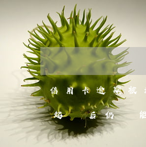 信用卡逾期被起訴沒有償還能力(欠信用卡被起訴后仍無能力償還)