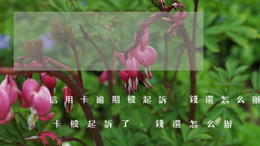 信用卡逾期被起訴沒錢還怎么辦啊-欠信用卡被起訴了沒錢還怎么辦