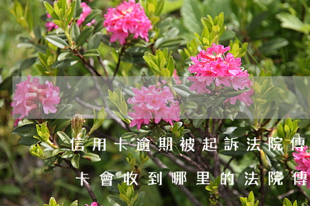 信用卡逾期被起訴法院傳票會寄到哪(欠信用卡會收到哪里的法院傳票)