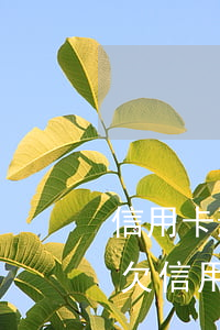 信用卡逾期被起訴法院會(huì)公布嗎(欠信用卡被起訴多久開庭)
