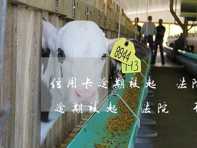 信用卡逾期被起訴法院會不會拘留-信用卡逾期被起訴法院會不會拘留呢