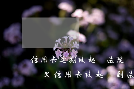 信用卡逾期被起訴法院還能協(xié)商嗎(欠信用卡被起訴到法院可以協(xié)調(diào)嗎)