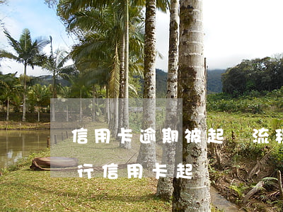 信用卡逾期被起訴流程要多久光大-光大銀行信用卡 起訴