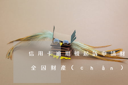 信用卡逾期被起訴申請財產(chǎn)保全(因財產(chǎn)保全無法還信用卡)