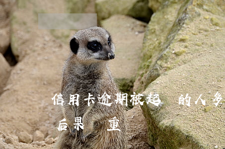 信用卡逾期被起訴的人多(信用卡逾期被起訴后果嚴重嗎)