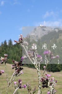 信用卡逾期被起訴的影響(信用卡逾期會(huì)被起訴)