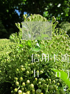 信用卡逾期被起訴的標(biāo)準(zhǔn)