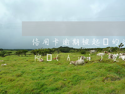 信用卡逾期被起訴的法律規(guī)定(法院會(huì)受理信用卡逾期案件嗎)