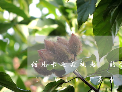 信用卡逾期被起訴的金額標(biāo)準(zhǔn)(民事訴訟法信用卡逾期)