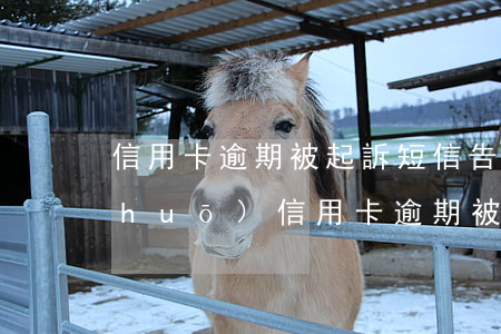信用卡逾期被起訴短信告知(收到短信說(shuō)信用卡逾期被起訴)