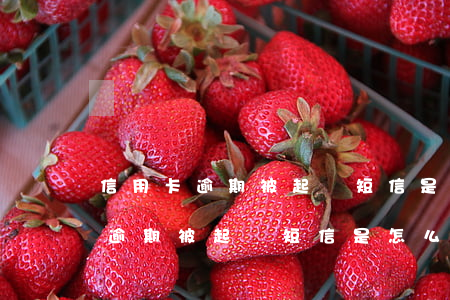 信用卡逾期被起訴短信是怎么樣的-信用卡逾期被起訴短信是怎么樣的呢