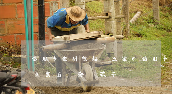 信用卡逾期被起訴立案6 信用卡逾期被起訴立案后會影響孩子嗎