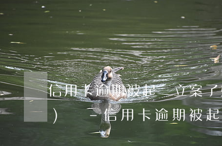 信用卡逾期被起訴立案了如何應(yīng)對-信用卡逾期被起訴立案了如何應(yīng)對呢