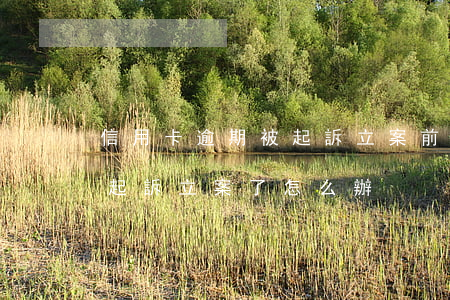 信用卡逾期被起訴立案前還清-欠信用卡被起訴立案了怎么辦