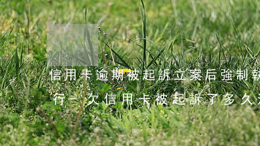 信用卡逾期被起訴立案后強制執(zhí)行-欠信用卡被起訴了多久法院強制執(zhí)行