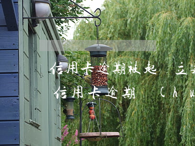 信用卡逾期被起訴立案后怎么判 什么情況下信用卡逾期會(huì)被起訴