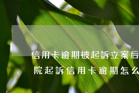 信用卡逾期被起訴立案后怎么撤訴(銀行去法院起訴信用卡逾期怎么辦)