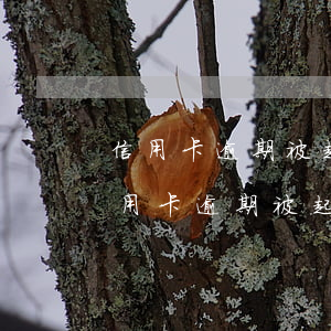 信用卡逾期被起訴立案后怎么解決-建行信用卡逾期被起訴立案后怎么解決