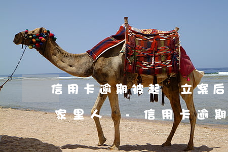 信用卡逾期被起訴立案后會(huì)影響家里人嗎-信用卡逾期被起訴立案后會(huì)影響家里人嗎