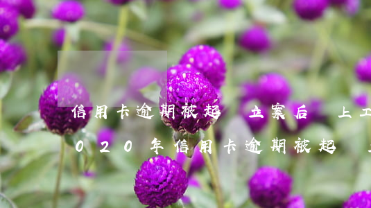 信用卡逾期被起訴立案后會上工作單位-2020年信用卡逾期被起訴立案后怎么解決