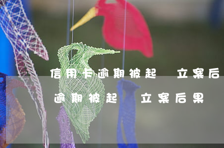 信用卡逾期被起訴立案后果會怎樣-信用卡逾期被起訴立案后果會怎樣呢