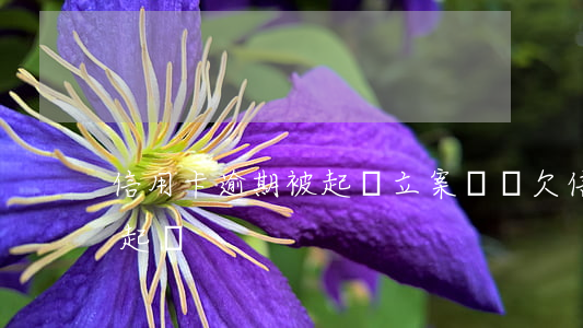 信用卡逾期被起訴立案敗訴(欠信用卡被法院起訴)