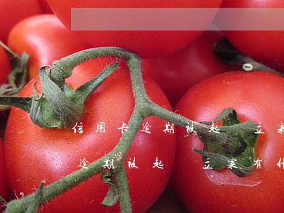 信用卡逾期被起訴立案有什么影響-信用卡逾期被起訴立案有什么影響嗎