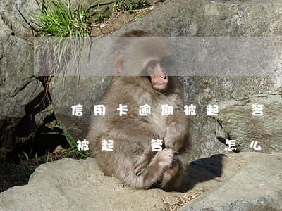 信用卡逾期被起訴答辯狀怎么寫 信用卡逾期被起訴答辯狀怎么寫