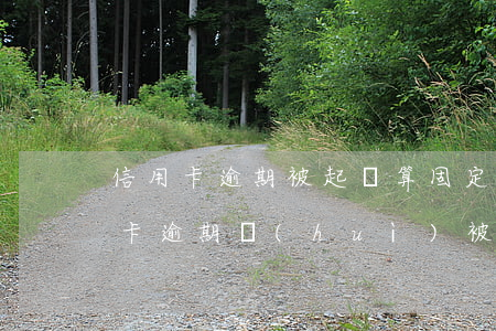 信用卡逾期被起訴算固定額度嗎(小額度信用卡逾期會(huì)被銀行起訴嗎)