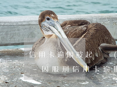 信用卡逾期被起訴結(jié)案了怎么辦-因服刑信用卡逾期現(xiàn)被起訴該怎么做